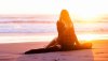 Ultra HD 4K Wallpapers-TheWindowsForum.com__014.jpg