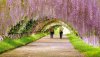 Ultra HD 4K Wallpapers-TheWindowsForum.com__024.jpg