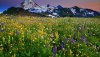 Ultra HD 4K Wallpapers-TheWindowsForum.com__025.jpg