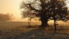 Ultra HD 4K Wallpapers-TheWindowsForum.com__032.jpg