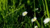 Ultra HD 4K Wallpapers-TheWindowsForum.com__059.jpg