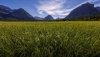 Ultra HD 4K Wallpapers-TheWindowsForum.com__072.jpg