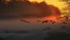 Ultra HD 4K Wallpapers-TheWindowsForum.com__096.jpg