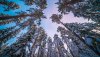 Ultra HD 4K Wallpapers-TheWindowsForum.com__105.jpg