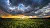 Ultra HD 4K Wallpapers-TheWindowsForum.com__121.jpg