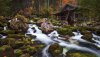 Ultra HD 4K Wallpapers-TheWindowsForum.com__128.jpg