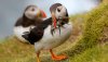 Ultra HD 4K Wallpapers-TheWindowsForum.com__009.jpg