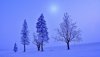 Ultra HD 4K Wallpapers-TheWindowsForum.com__032.jpg