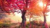 Ultra HD 4K Wallpapers-TheWindowsForum.com__055.jpg