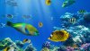 Ultra HD 4K Wallpapers-TheWindowsForum.com__059.jpg
