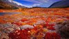 Ultra HD 4K Wallpapers-TheWindowsForum.com__079.jpg