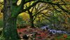 Ultra HD 4K Wallpapers-TheWindowsForum.com__090.jpg