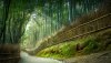 Ultra HD 4K Wallpapers-TheWindowsForum.com__100.jpg