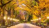 Ultra HD 4K Wallpapers-TheWindowsForum.com__102.jpg