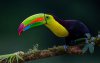 Ultra HD 4K Wallpapers-TheWindowsForum.com__036.jpg