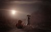 Ultra HD 4K Wallpapers-TheWindowsForum.com__014.jpg