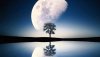 Ultra HD 4K Wallpapers-TheWindowsForum.com__039.jpg