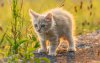 Ultra HD 4K Wallpapers-TheWindowsForum.com__019.jpg