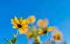 Ultra HD 4K Wallpapers-TheWindowsForum.com__030.jpg