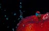 Ultra HD 4K Wallpapers-TheWindowsForum.com__032.jpg