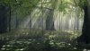 Nature HD Wallpapers-TheWindowsForum.com__2.jpg