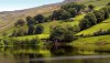 Nature HD Wallpapers-TheWindowsForum.com__5.jpg