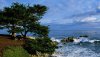 Nature HD Wallpapers-TheWindowsForum.com__6.jpg
