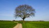 Nature HD Wallpapers-TheWindowsForum.com__7.jpg
