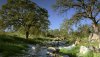Nature HD Wallpapers-TheWindowsForum.com__8.jpg