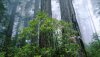 Nature HD Wallpapers-TheWindowsForum.com__12.jpg
