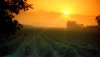 Nature HD Wallpapers-TheWindowsForum.com__15.jpg