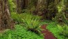 Nature HD Wallpapers-TheWindowsForum.com__20.jpg