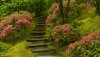 Nature HD Wallpapers-TheWindowsForum.com__3.jpg