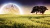 Nature HD Wallpapers-TheWindowsForum.com__4.jpg