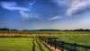 Nature HD Wallpapers-TheWindowsForum.com__15.jpg