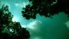 Nature HD Wallpapers-TheWindowsForum.com__3.jpg