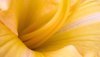 Nature HD Wallpapers-TheWindowsForum.com__6.jpg