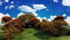 Nature HD Wallpapers-TheWindowsForum.com__14.jpg