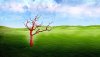 Nature HD Wallpapers-TheWindowsForum.com__16.jpg