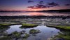 Nature HD Wallpapers-TheWindowsForum.com__17.jpg