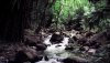 Nature HD Wallpapers-TheWindowsForum.com__1.jpg