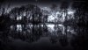 Nature HD Wallpapers-TheWindowsForum.com__3.jpg
