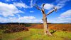 Nature HD Wallpapers-TheWindowsForum.com__4.jpg