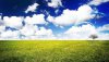 Nature HD Wallpapers-TheWindowsForum.com__7.jpg