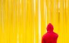 Ultra HD 4K Wallpapers-TheWindowsForum.com__005.jpg