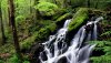 Nature HD Wallpapers-TheWindowsForum.com__1.jpg