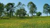 Nature HD Wallpapers-TheWindowsForum.com__2.jpg
