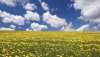 Nature HD Wallpapers-TheWindowsForum.com__16.jpg