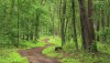 Nature HD Wallpapers-TheWindowsForum.com__18.jpg