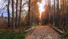 Nature HD Wallpapers-TheWindowsForum.com__1.jpg
